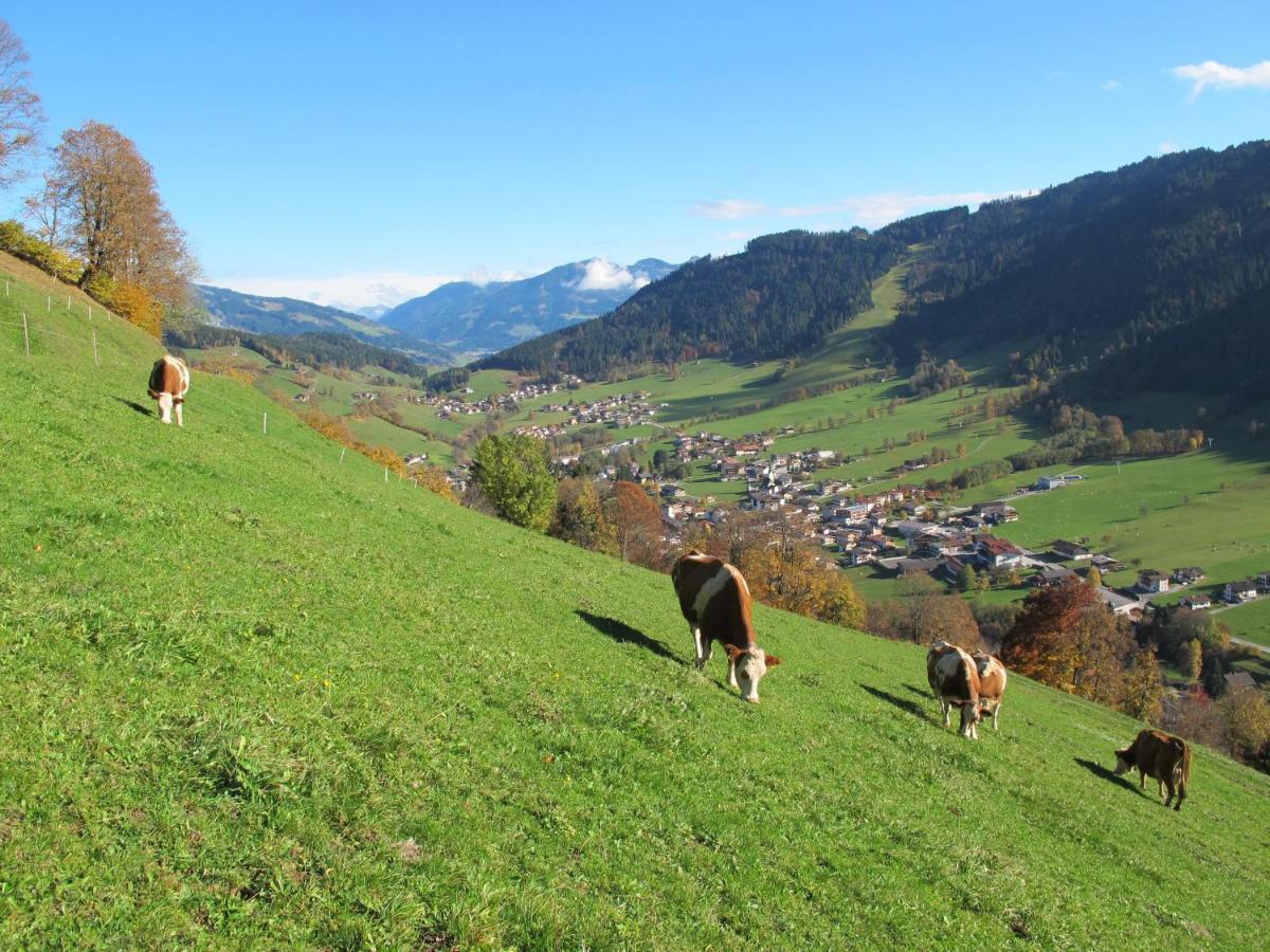 Villa Leitnerhof Niederau Esterno foto
