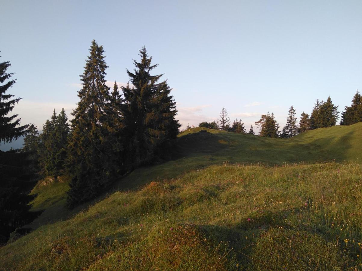 Villa Leitnerhof Niederau Esterno foto